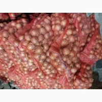 Продам цибулю 5-7