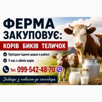 Фермерське господарство закуповує врх