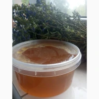 Продам мед та продукти бджільництва