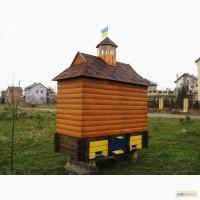 Вулик лікувально-оздоровчий