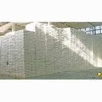 Борошно Білоцерківський КХП оптом