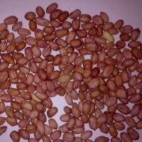 Арахис Болд 50/60 вакуум