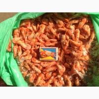 Продам оптом креветку черноморскую, азовскую отличного качества