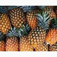 Продам ананасы из Испании оптом