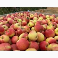 Яблуко з холодильнака