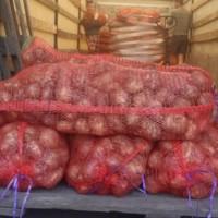 Продам картошку сорт Гала