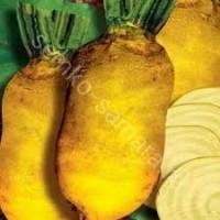 Продам кормовий буряк, кормовую свеклу