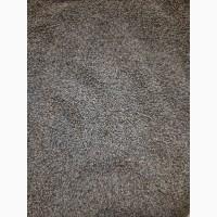 Ядро семечки семена Тыквы Кабака, Ядро насіння Гарбуза