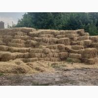 Продам солому в тюках