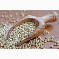Зерно гречки на продаж. Гречка. Гречиха оптом