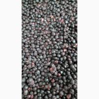 Купуємо чорницю заморожену