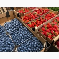 Продаж свіжої ягоди