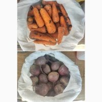 Продам морква Каскад, ст. буряк Зепо