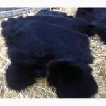 Продам натуральные меха (натуральный мех) хорошего качества, недорого
