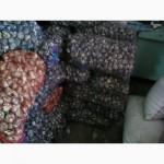 Продам часник на переробку