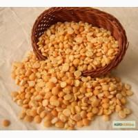 Продам горох желтый колотый