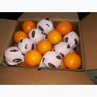 Апельсин Валенсия прямые поставки Египет Orange Valencia
