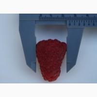 Продам МАЛИНА свежая и сушёная урожай 2018