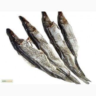 Рыбоперерабатывающий цех продаёт речную вяленую рыбу