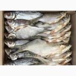 Рыбоперерабатывающий цех продаёт речную вяленую рыбу