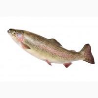 Продам мальок форелі райдужної