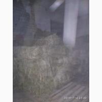 Продам сіно.Покос 2019 р