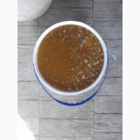 Гречневый мед