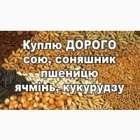 Соя купуємо постійно