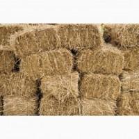 Продам сіно і солому, Київська обл