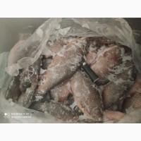 Куплю річкову рибу живу або свіжоморожену