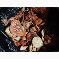 Червоні мухомори, сушені при температурі 35 градусів