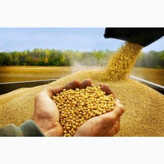 Купимо Сою Самовивіз по Україні