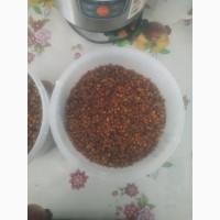 Куплю оптом пергу 2000 грн/кг