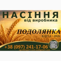 Насіння / озима м#039;яка пшениця / ПОДОЛЯНКА від виробника (еліта)