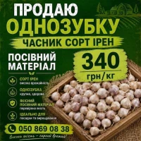 Посівмат озимого часнику Ірен