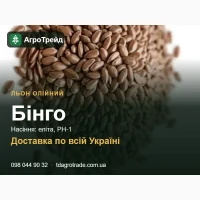 Олійний льон Бінго - еліта, РН-1, посівний матеріал