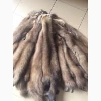 Шкуры куницы