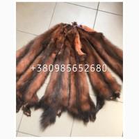 Шкуры куницы