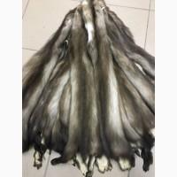 Шкуры куницы