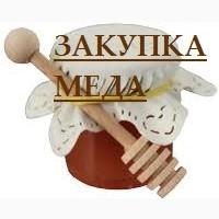 Куплю мед качки 2018 года