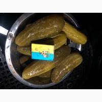 Продам огірок солений(квашений)грунтовий