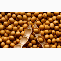 Закупаем Сою по Ф2