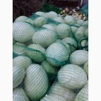 Продам капусту, отличного качества
