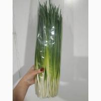Продам зелену цибулю