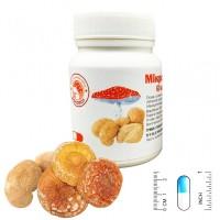 Мікродозінг MIX (Їжовик + мухомор червоний)