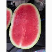 Продам кавун