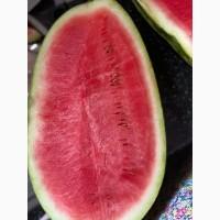 Продам кавун