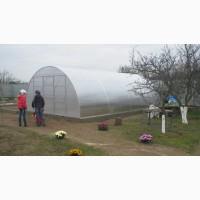 Теплиця «Алмір» шириною 5 м з оцинкованої квадратної труби з полікарбонатом