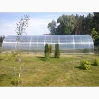 Теплиця «Алмір» шириною 5 м з оцинкованої квадратної труби з полікарбонатом