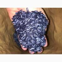 Насіння соняшнику для пересіву чи пожнивних посівів